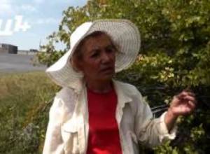 Հակակարկտային կայան ունեցող գյուղը տուժեց կարկուտից. ինչո՞ւ