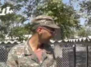 Կրիաները «սամավոլկա» էին գնացել