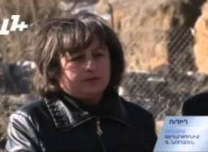 Այո-ն և Ոչ-ը Նորաշենում