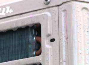 Անհայտ անձինք ներկել են ՄԻՊ գրասենյակի դուռը