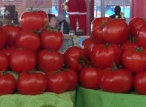 Առանց թուրքական խեժի արտադրությունը կկանգնի. ձեռնարկատեր