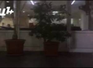 Հիվանդանոցում