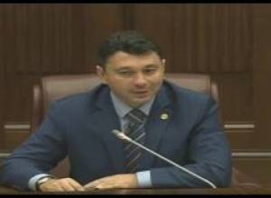 Կատու մի փնտրեք այնտեղ, որտեղ չկա. Շարմազանով