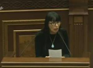 Նաիրա Զոհրաբյանի առաջարկը՝ Պաշտպանության նախարարին