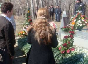 Wings cut off while soaring