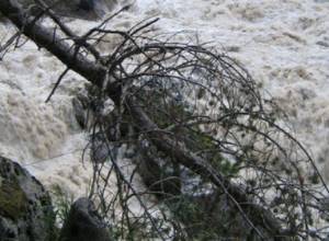 River causes danger