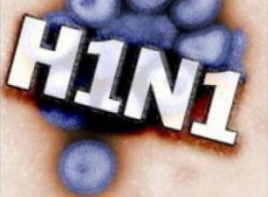 Swine flu entry restricted?
