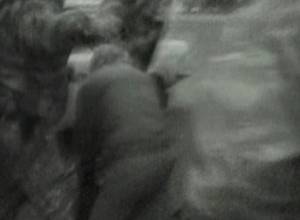 Sacrificing the policeman for Europe