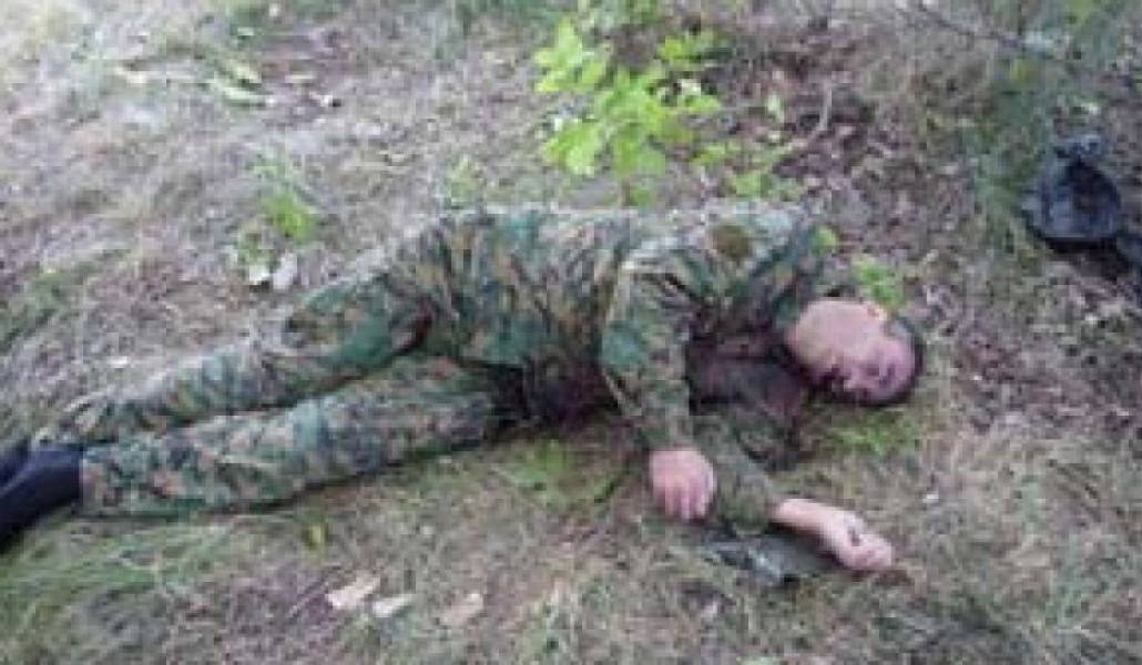 cb66f59285beda354c500a04dd0bb159