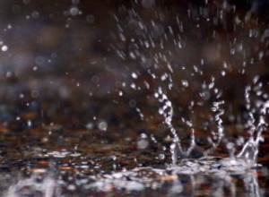 Synopticians forecast rain for another two days