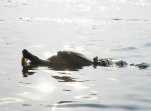 Body found in Lake Sevan