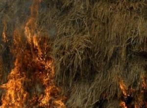 Fires on purpose?
