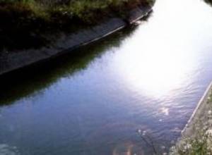 Irrigation water price won’t go up