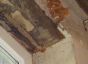 Wall collapsed