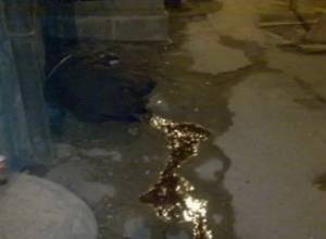 YouTube posts new video on March 1 bloody events