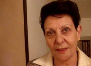 Armenian MPs speak about NPP dispute