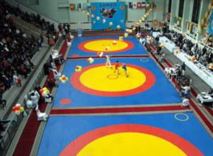 Armenian Sambo wrestlers lose in Moscow