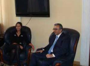 Armenian, Georgian Ministers meet in Yerevan