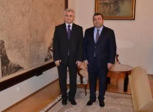 Armenian Ambassador at Czech Senate