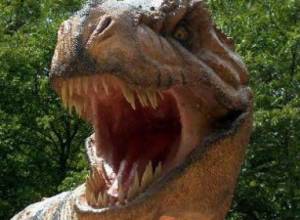 Dinosaur traces found
