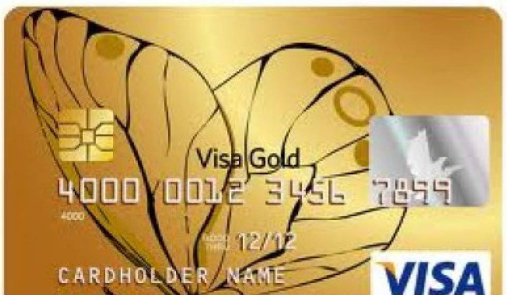 3119d6136bcb545cbface76a1f004322