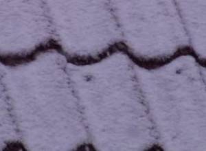 Snow layer causes roof collapse