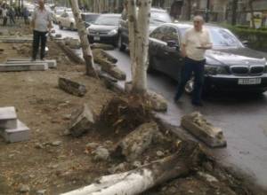 Killing trees?