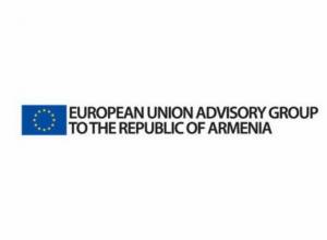 EU Advisory Group releases annual report