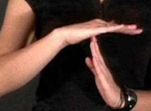 Surdo-translations for deaf and dumb voters