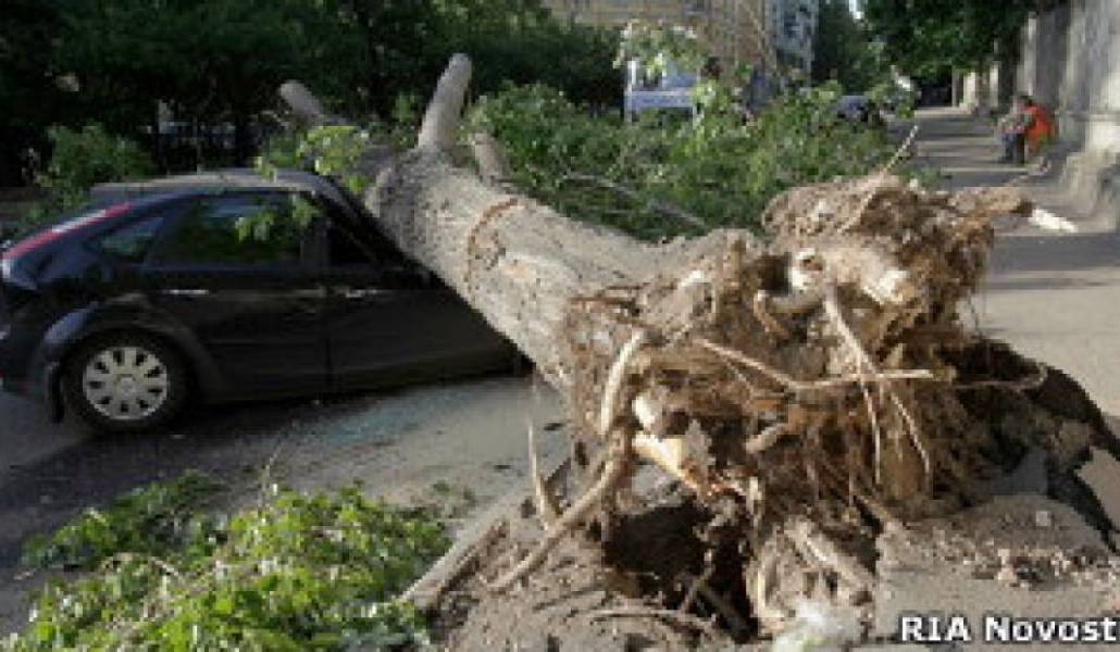 8b2fec2b36a8c25bf5f3860a456ab255