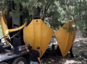 Trees being uprooted in downtown Yerevan