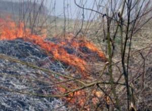 Fires broke out in grassy areas