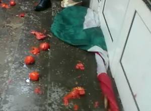 Protesters throw tomatoes at Hungarian flag