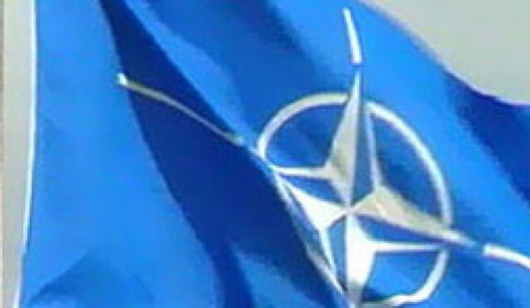 f037aa6bfb4afb5f41f3d6e87a15cbcc