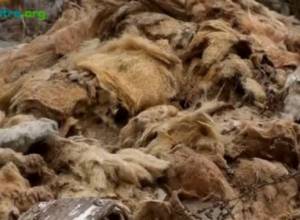 Children playing near debris and glass fiber