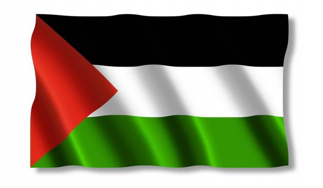 5042c8153ea64fe85ad87483122e302b