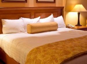 Gas poisoning leaves four dead in hotel