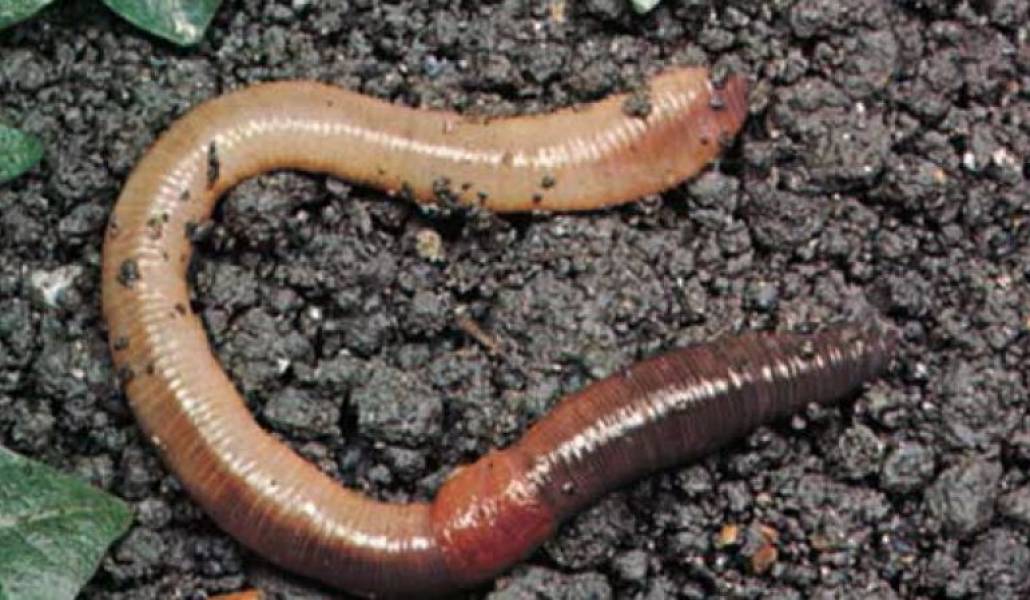 605ecfd8a0b9fb543cb51ce20a1e5933