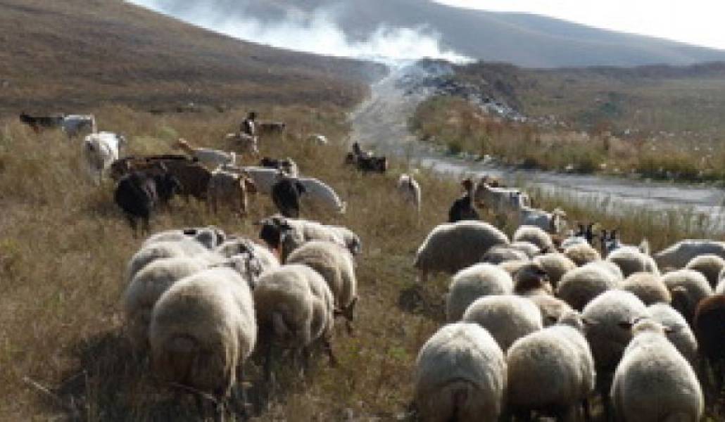 8a8298c3bdba126d0c839975421f3e63