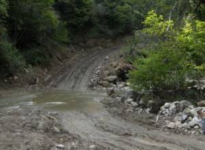 Environmentalists’ way blocked