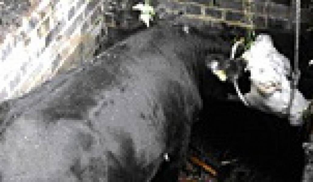 eb61702a3787eb9ba07f8cdd28f52d09