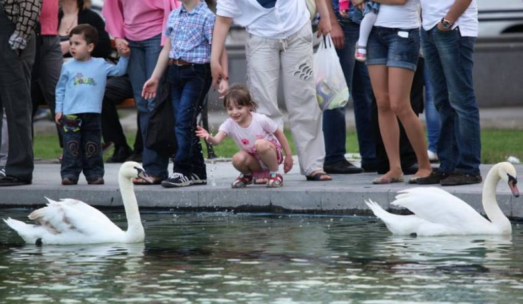 35ad780f1fbd53ea7391c12029adcbdb