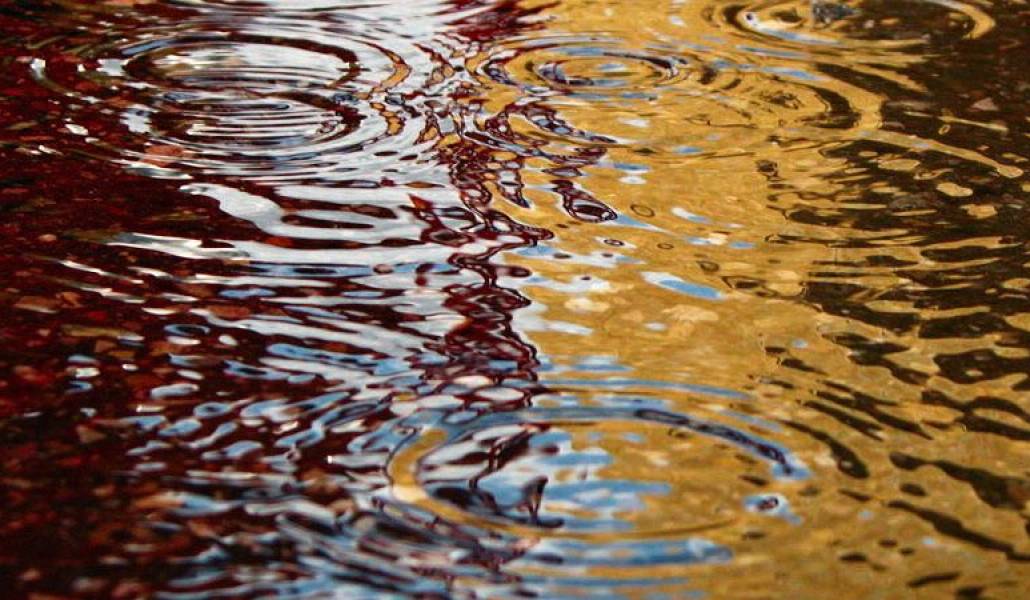 eba2a9685102a3ad5e0a5abb1212018c