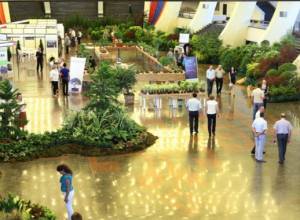 Exhibition of trees and flowers opens in Yerevan