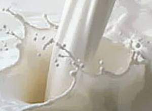 Villagers block road to protest milk price reduction