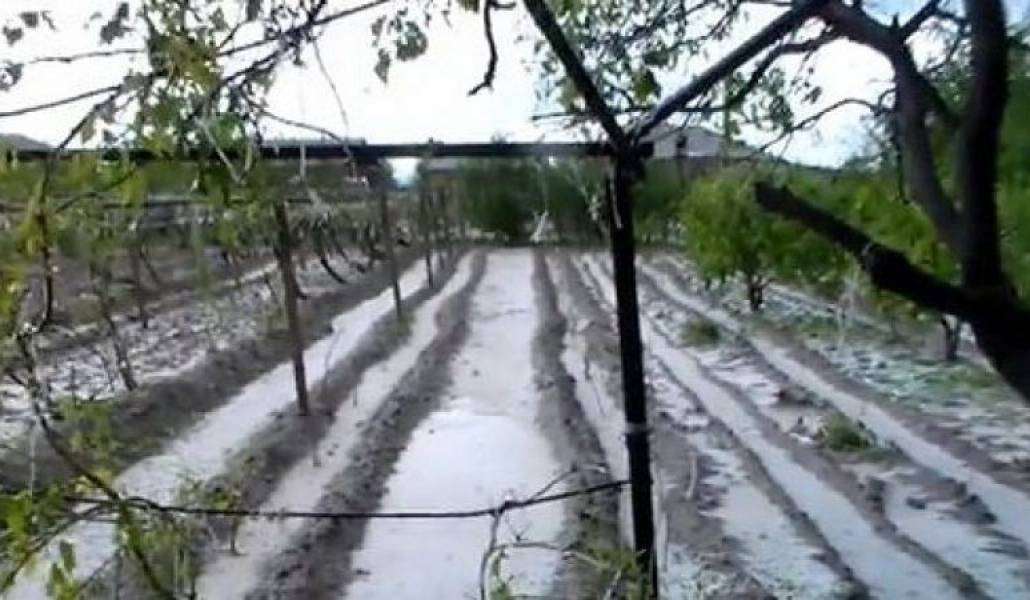 8726f4e7db76ef60405083df16e1bc1f