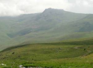 Landfill appeared in Ashtarak orchards