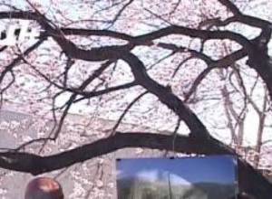 Օգնությունը Քեսաբի հայերին չի հասնում