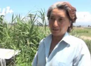 «Աշխատավարձի 50-60 %-ը տալիս ենք տրանսպորտին»