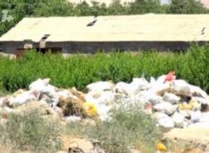 Գյուղապետն ասում ա. «Տարեք, լցրեք»